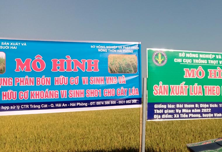shm-mo-hinh-su-dung-thu-nghiem