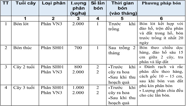 shm-quy-trinh-ky-thuat-bon-phan-cay-sam-nam-nui-danh-2